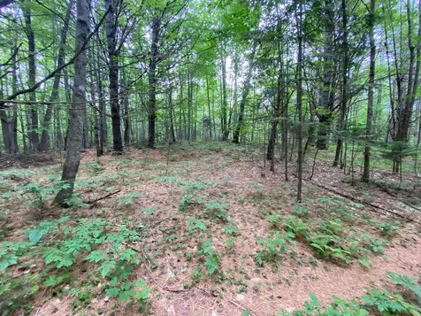 Lot# 17 Guilford Center Road Guilford ME 04443