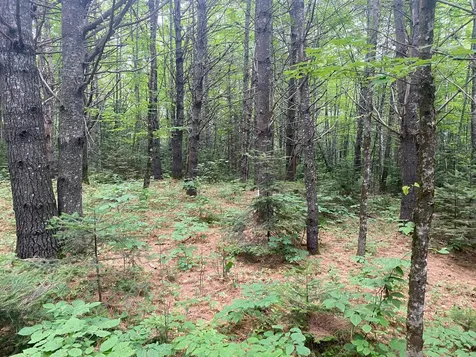 Lot# 17 Guilford Center Road Guilford ME 04443