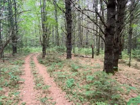 Lot# 17 Guilford Center Road Guilford ME 04443
