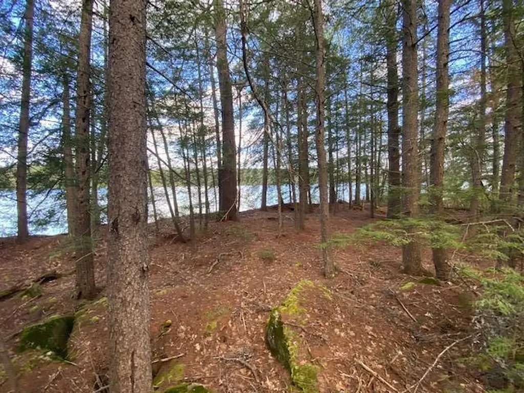0 Tower Road (Seavey Corner) Road Vienna ME 04360