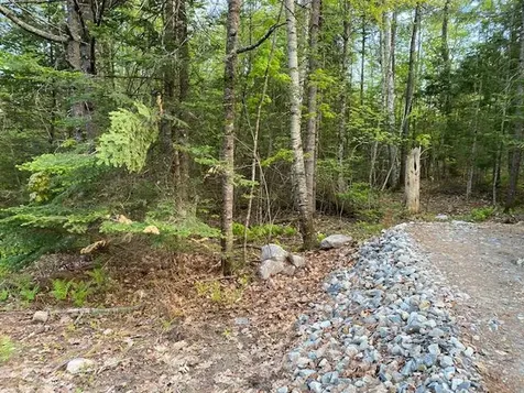0 Tower Road (Seavey Corner) Road Vienna ME 04360