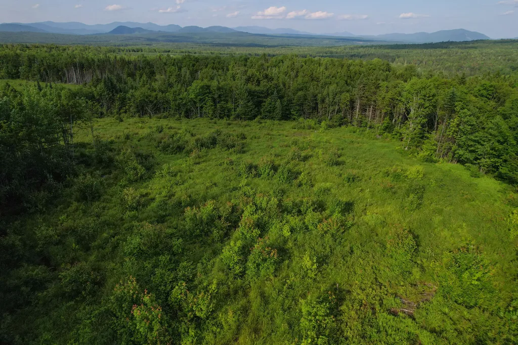 Lot 1 East Ridge Drive Greenville ME 04441