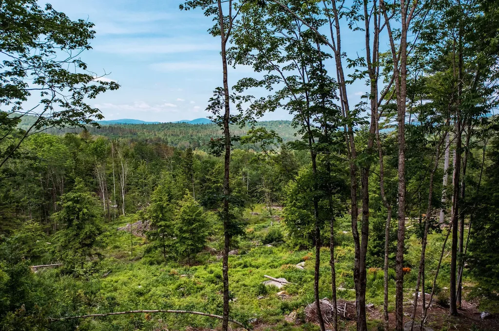 Lot 62 Bird Hill Road Bethel ME 04219