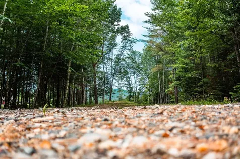 Lot 62 Bird Hill Road Bethel ME 04219