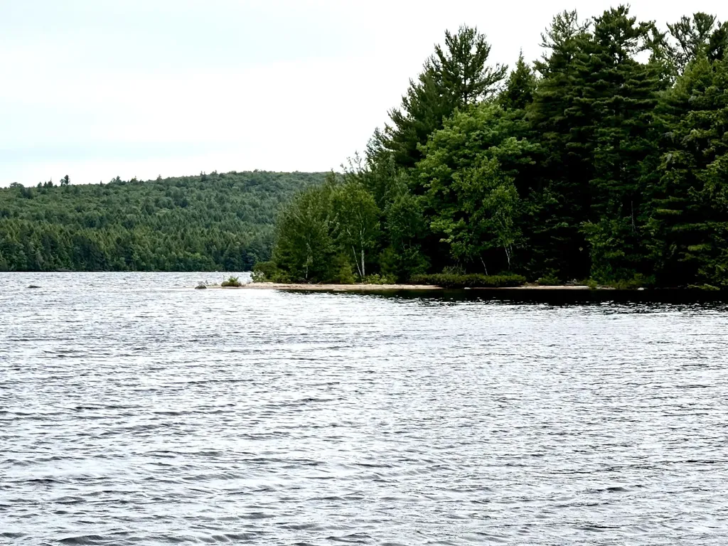 116 Pe033 T4 Indian Purchase Twp ME 04462