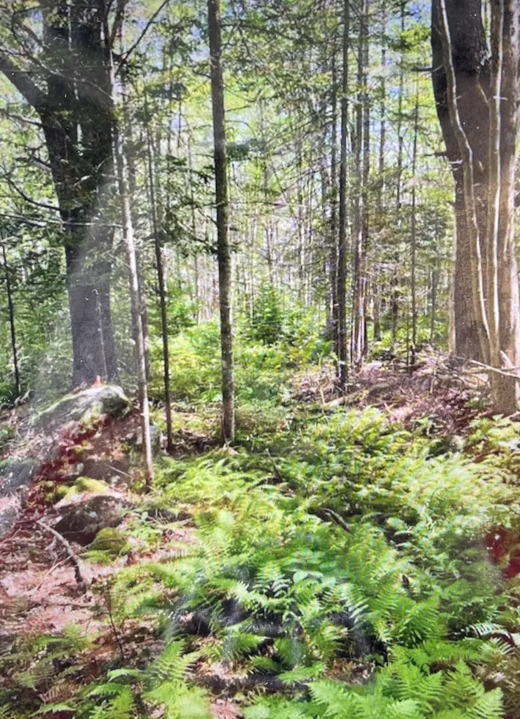 6 Stonewyck Lane Damariscotta ME 04543