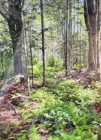 6 Stonewyck Lane Damariscotta ME 04543