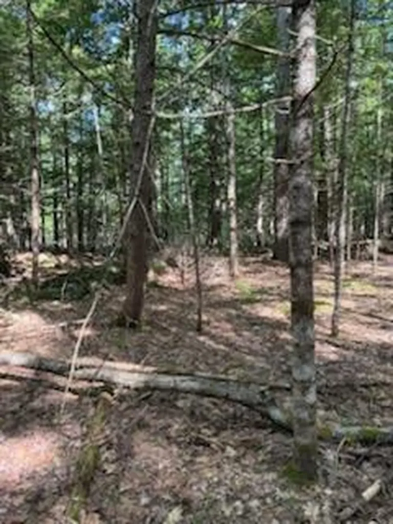0 Tuttle Lane Bridgton ME 04009