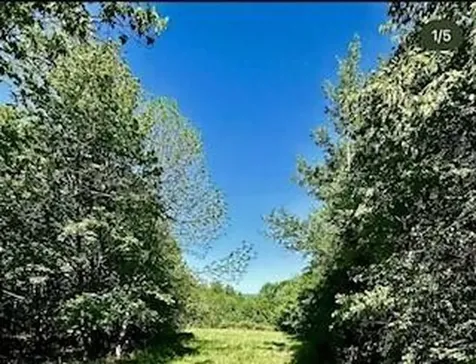 Lot 006-3 Dole Hill Road Holden ME 04429