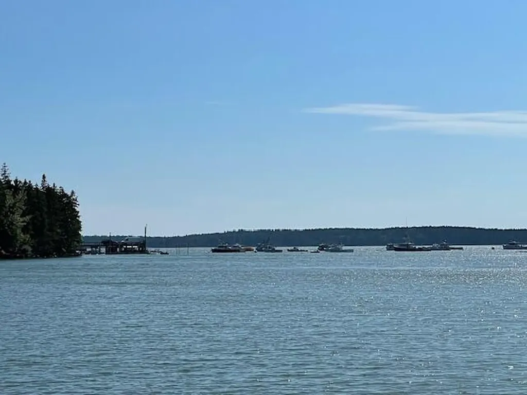 Lot 15-5 Fort Williams Road Harrington ME 04643