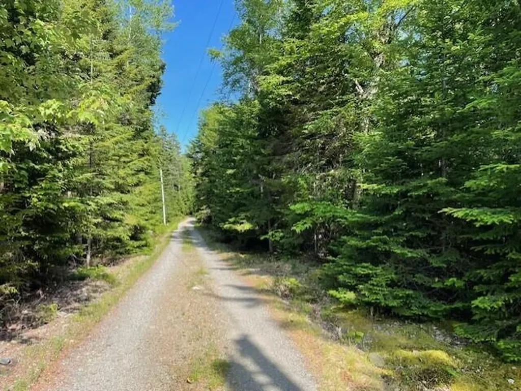 Lot 15-5 Fort Williams Road Harrington ME 04643