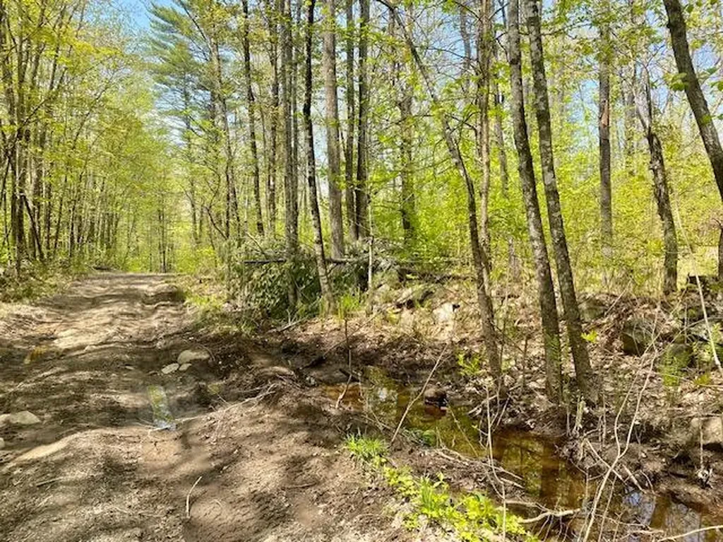 42AC Ben Gilpatrick Road Hiram ME 04041
