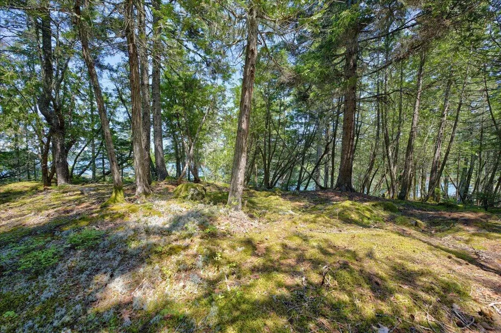 Lot 4 Belle Grande Drive Bar Harbor ME 04609