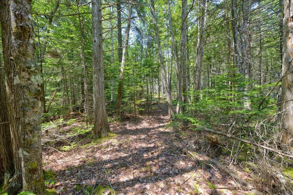 Lot 4 Belle Grande Drive Bar Harbor ME 04609