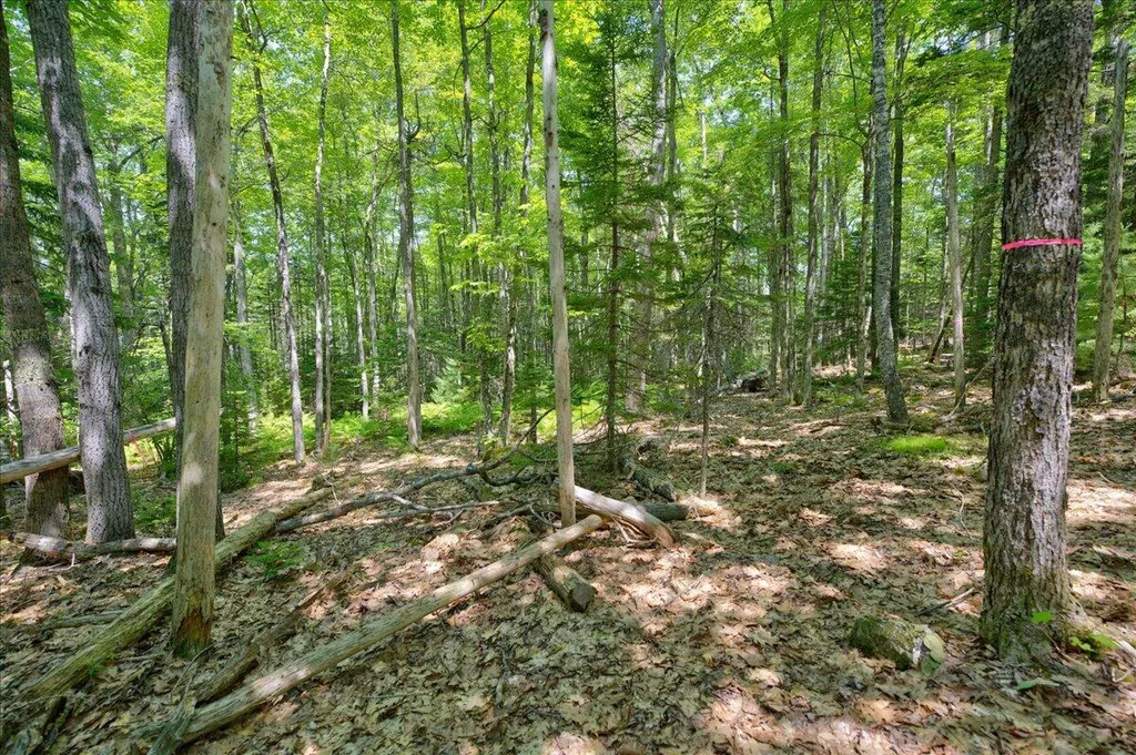 Lot 4 Belle Grande Drive Bar Harbor ME 04609