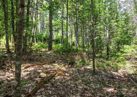 Lot 4 Belle Grande Drive Bar Harbor ME 04609