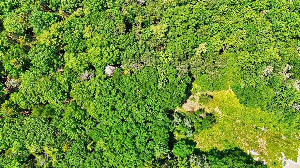 Lot 3 Belle Grande Drive Bar Harbor ME 04609