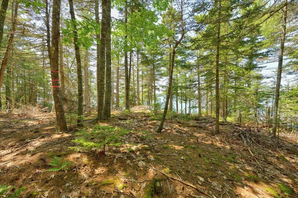 Lot 3 Belle Grande Drive Bar Harbor ME 04609