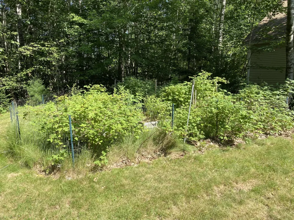 48 Stoney Ridge Road Eddington ME 04428
