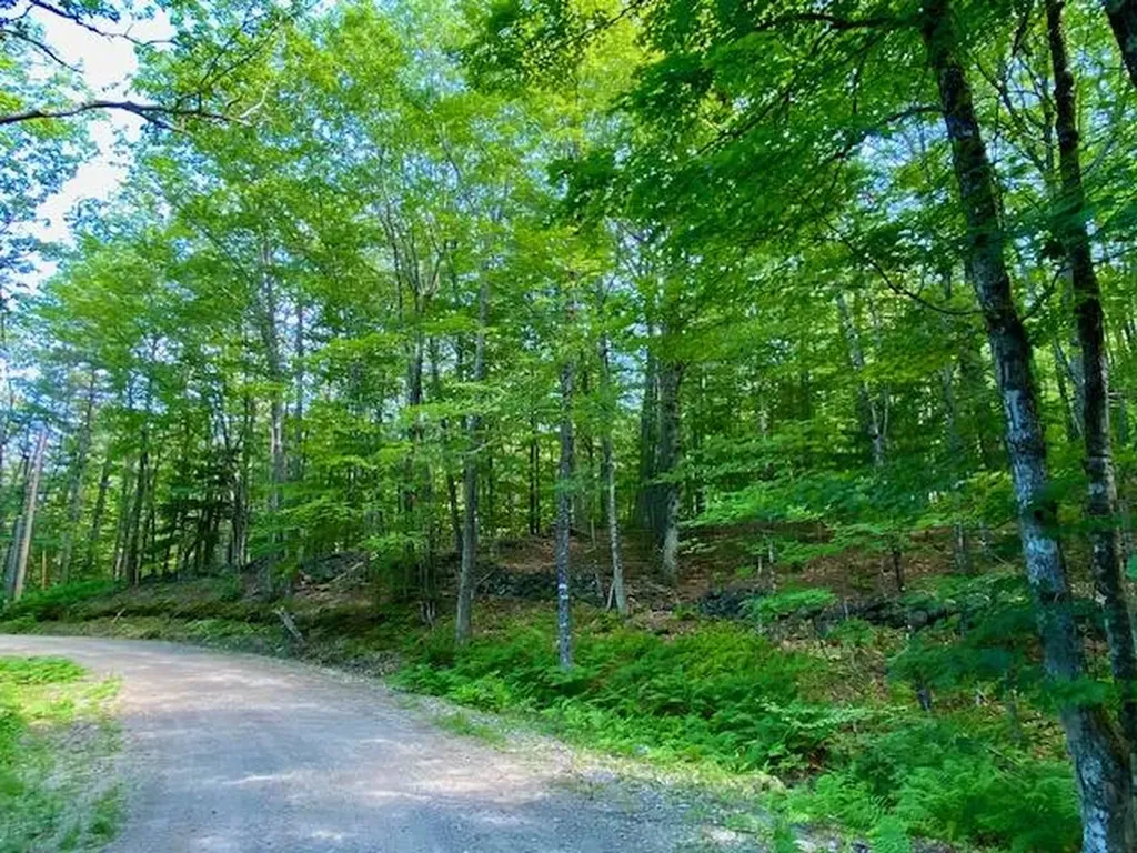 27 Nocturne Road Parsonsfield ME 04047