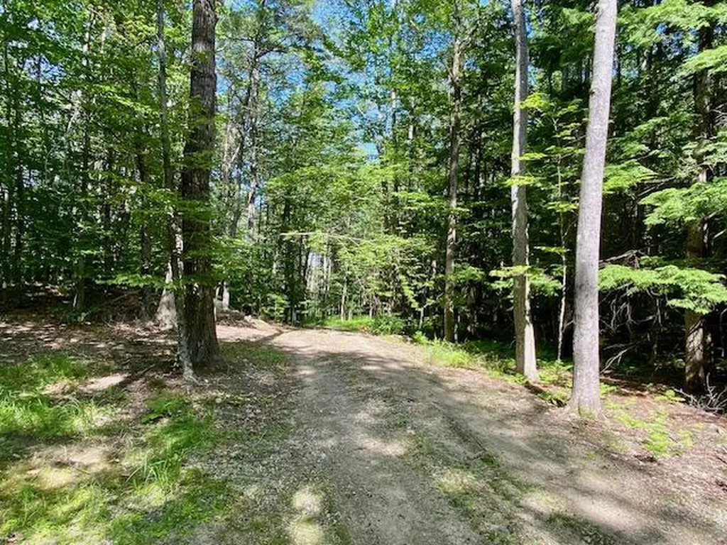 27 Nocturne Road Parsonsfield ME 04047