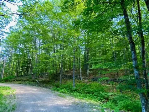 27 Nocturne Road Parsonsfield ME 04047