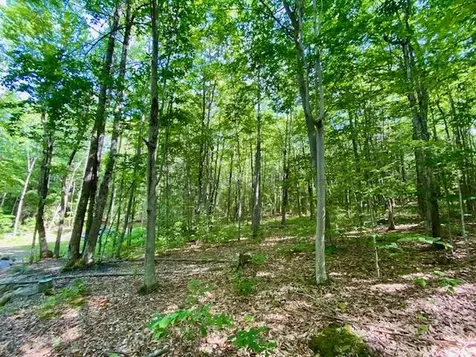 27 Nocturne Road Parsonsfield ME 04047