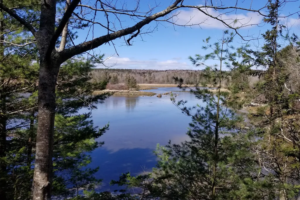 9 River Road Brooklin ME 04616