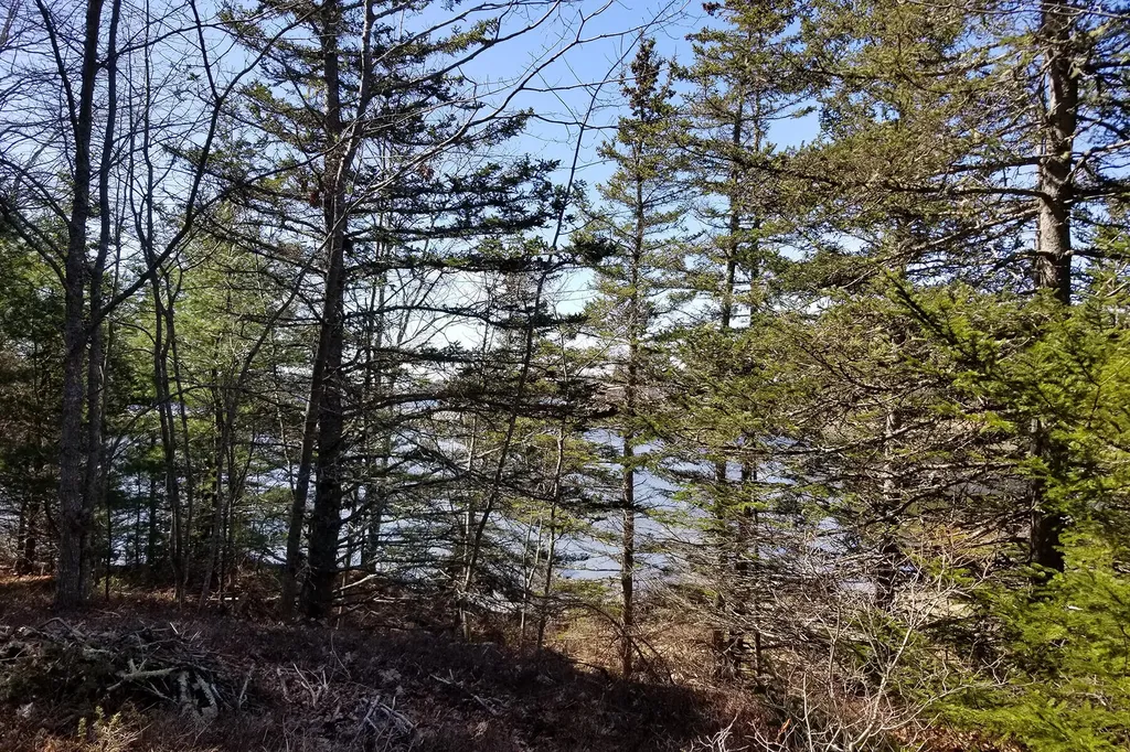 9 River Road Brooklin ME 04616