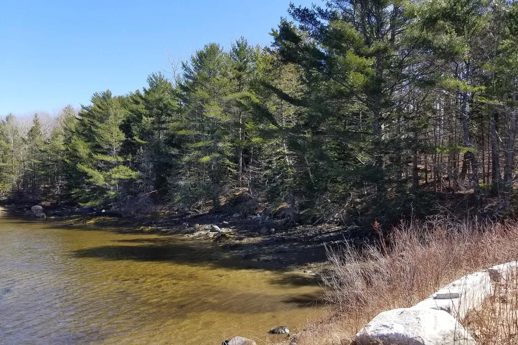 9 River Road Brooklin ME 04616