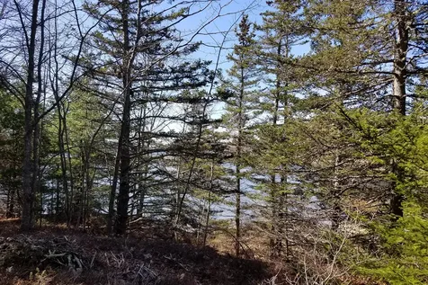 9 River Road Brooklin ME 04616