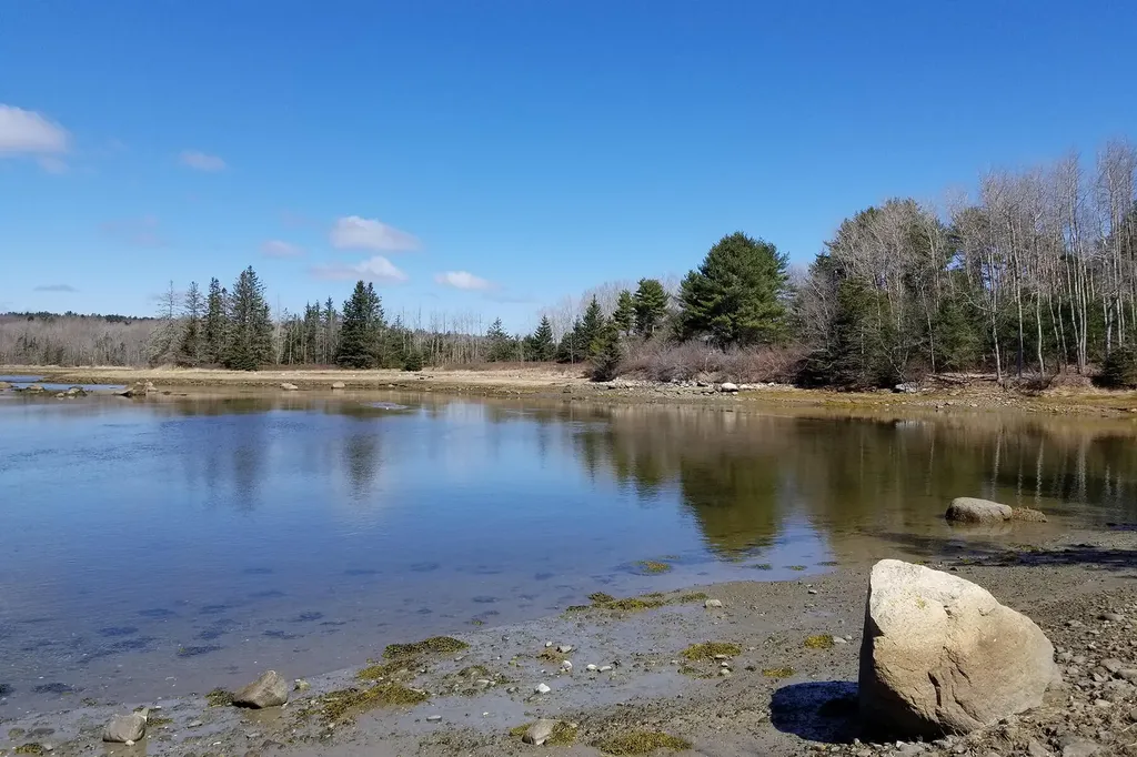 9 River Road Brooklin ME 04616
