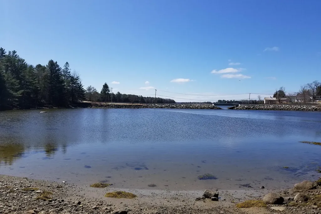 9 River Road Brooklin ME 04616