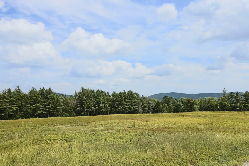 MAP13LOT1 Martins Ridge Road Franklin ME 04634