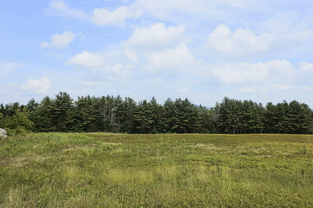 MAP13LOT1 Martins Ridge Road Franklin ME 04634