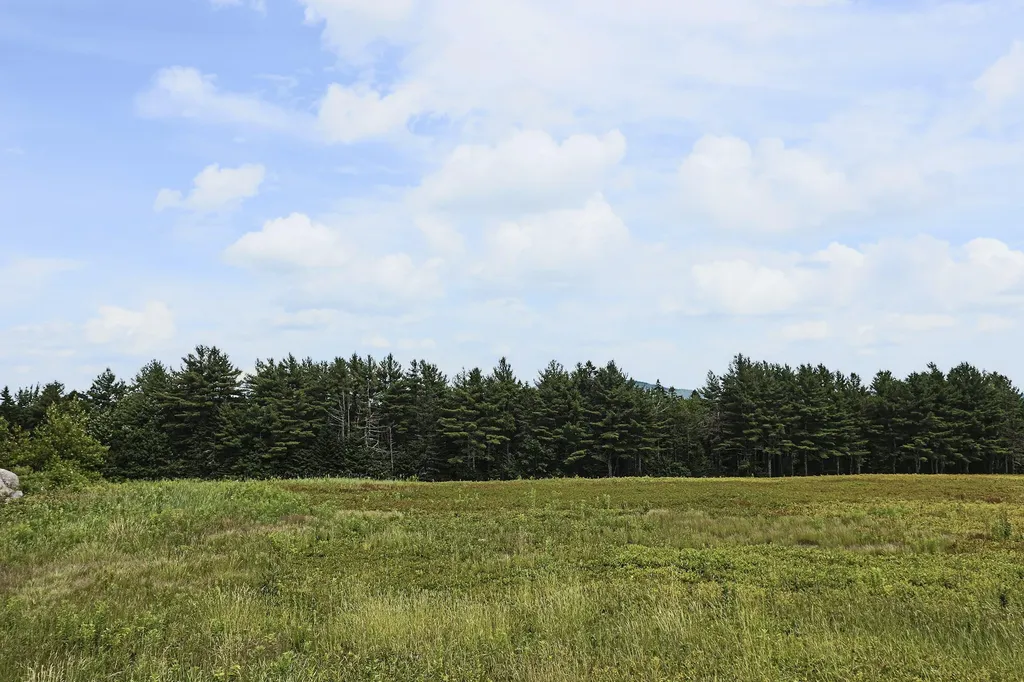 MAP13LOT1 Martins Ridge Road Franklin ME 04634
