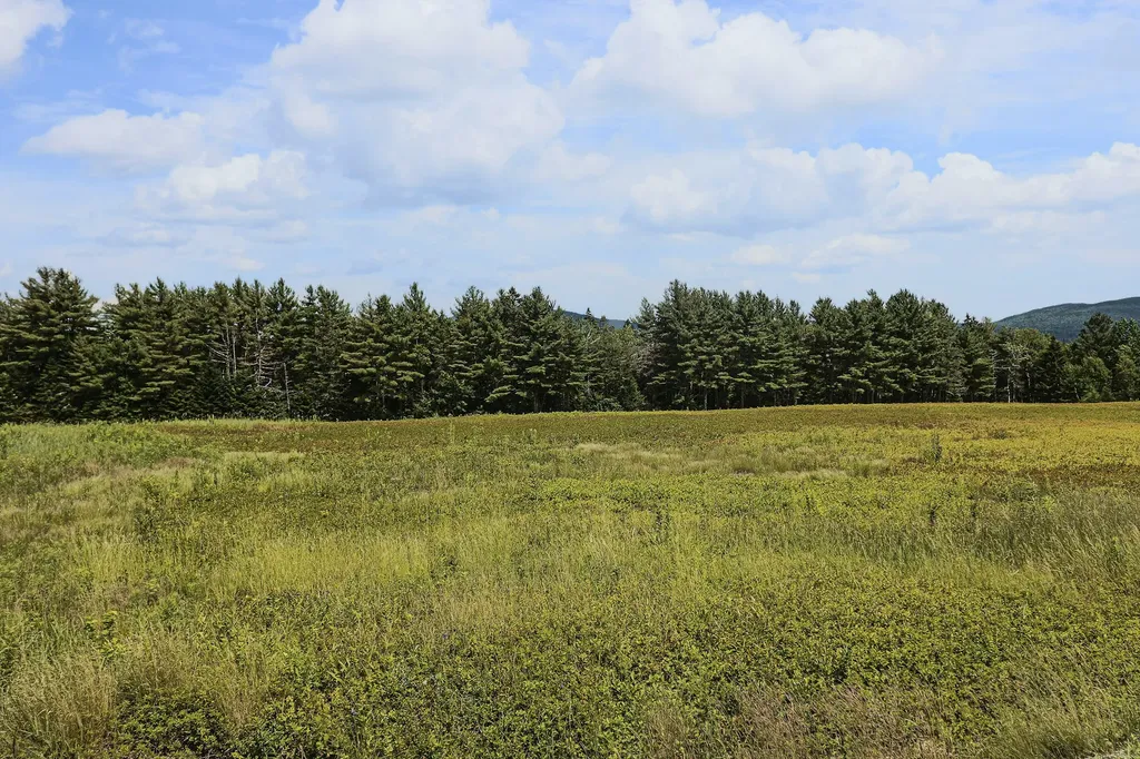 MAP13LOT1 Martins Ridge Road Franklin ME 04634