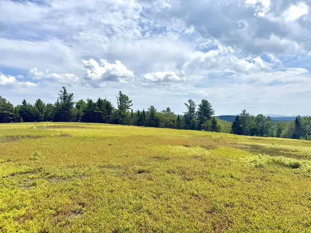 L1,4,9,11 Martins Ridge Road Franklin ME 04634