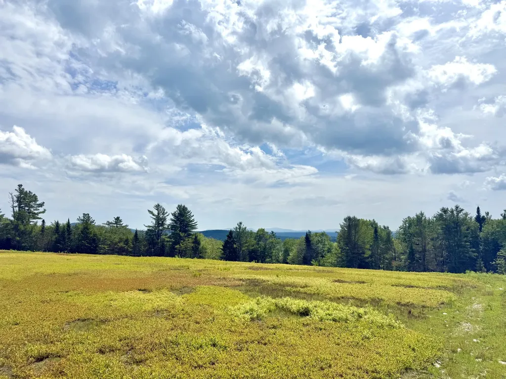 L1,4,9,11 Martins Ridge Road Franklin ME 04634