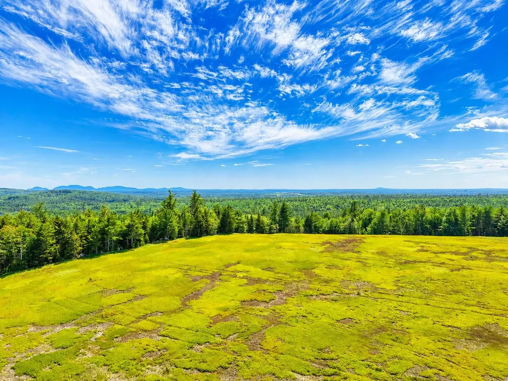 L1,4,9,11 Martins Ridge Road Franklin ME 04634