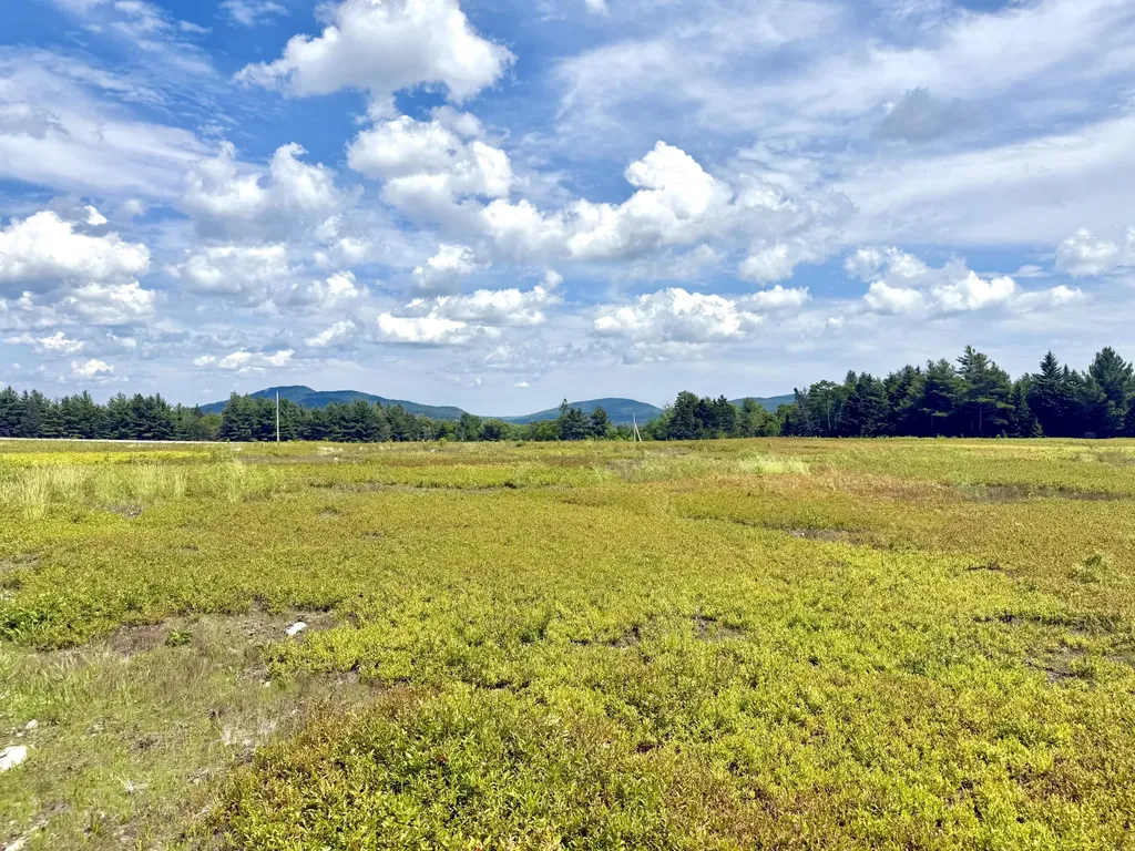 L1,4,9,11 Martins Ridge Road Franklin ME 04634