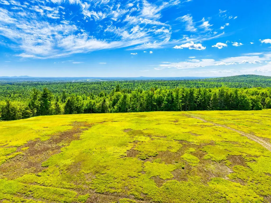 L1,4,9,11 Martins Ridge Road Franklin ME 04634