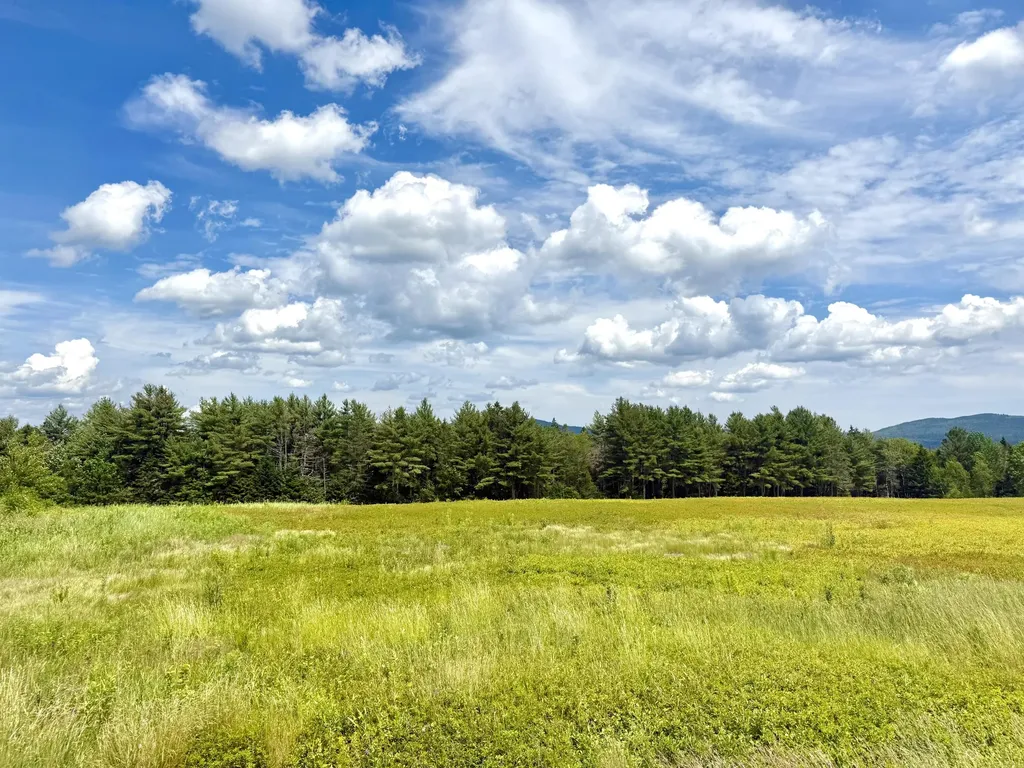 L1,4,9,11 Martins Ridge Road Franklin ME 04634