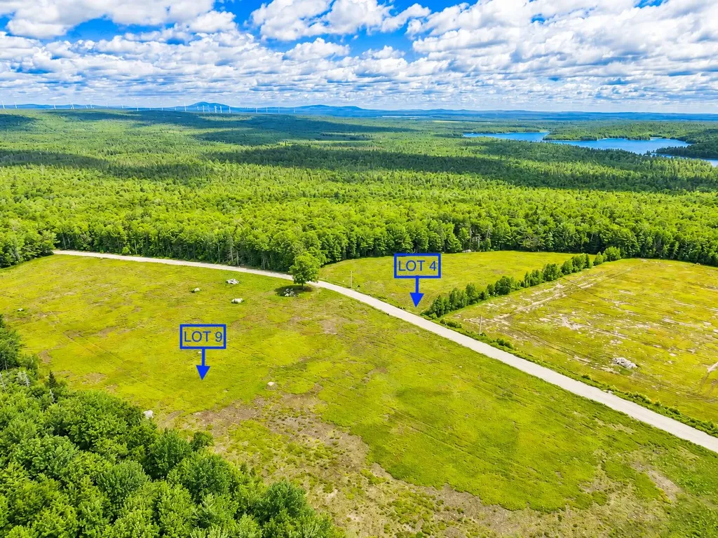 L1,4,9,11 Martins Ridge Road Franklin ME 04634