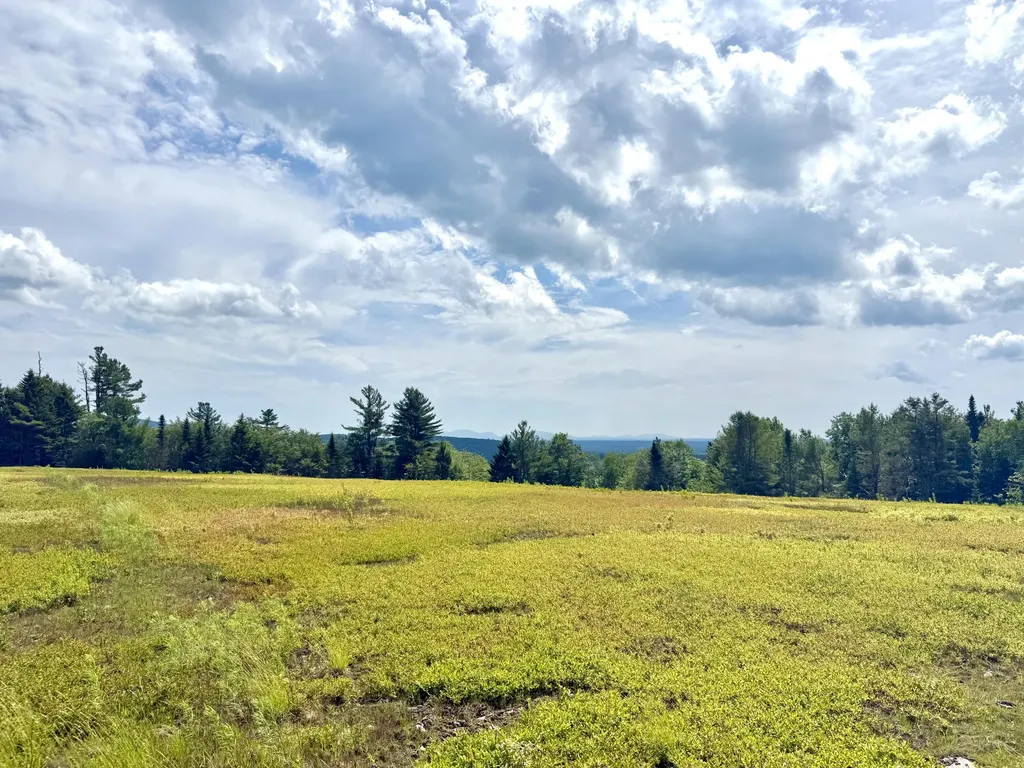 L1,4,9,11 Martins Ridge Road Franklin ME 04634