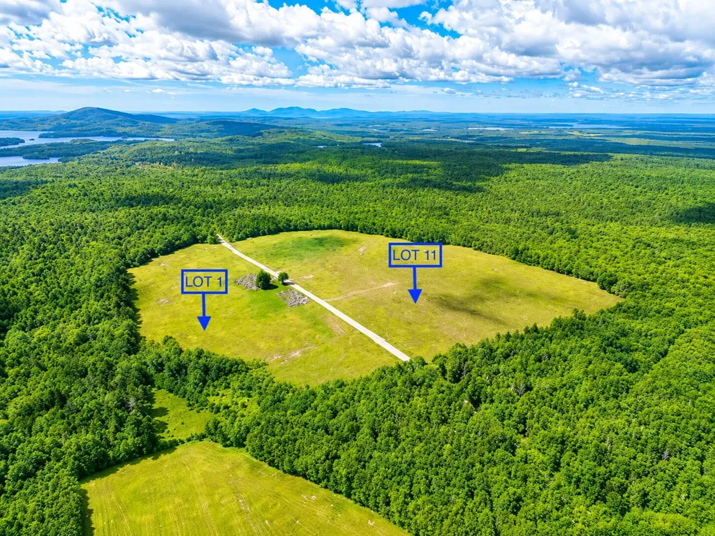 L1,4,9,11 Martins Ridge Road Franklin ME 04634