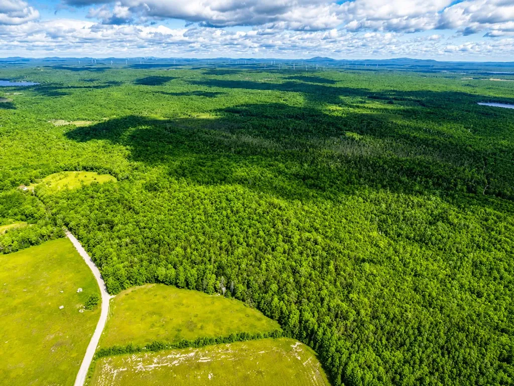 L1,4,9,11 Martins Ridge Road Franklin ME 04634