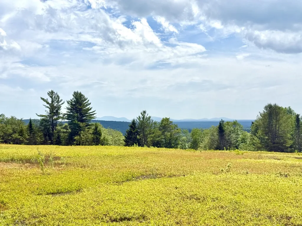 L1,4,9,11 Martins Ridge Road Franklin ME 04634
