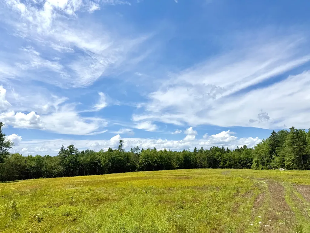 L1,4,9,11 Martins Ridge Road Franklin ME 04634
