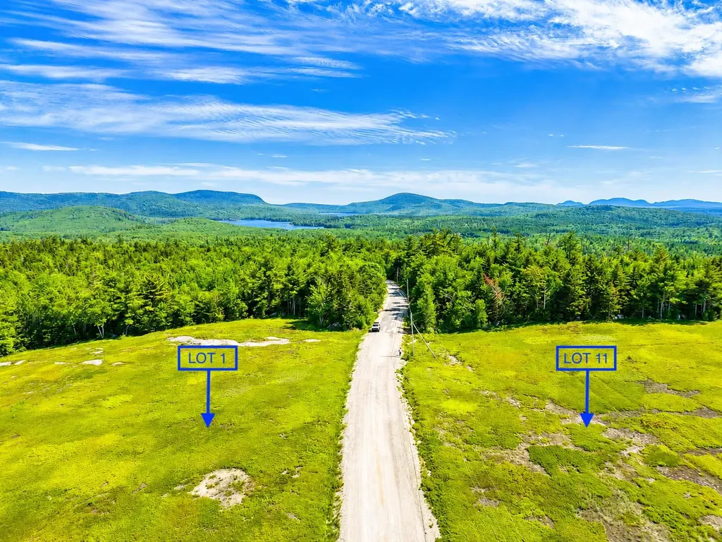 L1,4,9,11 Martins Ridge Road Franklin ME 04634